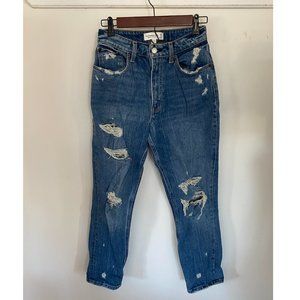 NWOT Abercrombie & Fitch Curve Love Mom Jeans